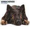German Shepherd Modern Calendar 2024