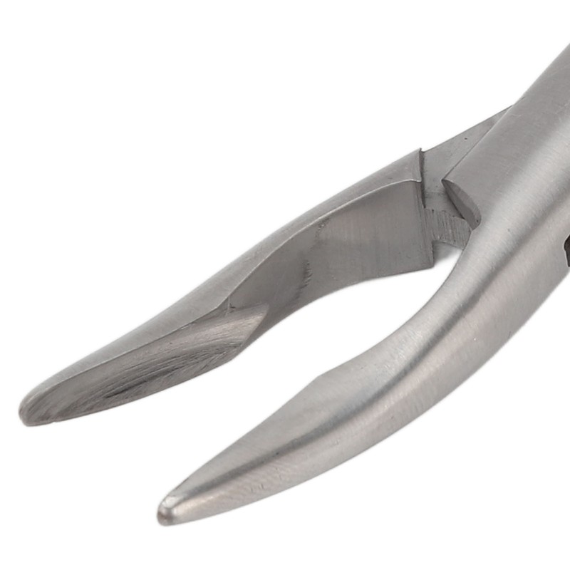 16cm Rongeur Mini Premium Stainless Steel Dental Bone Rongeur Forceps