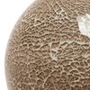 Simple Designs LT3302-CHA 1 Light Mosaic Stone Ball Table Lamp,