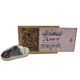 Mum There is No Better Friend You Are My Rock Gift Idea For Mum (rock-betterfriend)