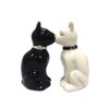 Feline Spicey Black & White Cats Salt & Pepper Shaker
