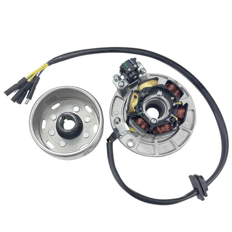 6 Coil 5 Wire Stator Magneto with Flywheel Rotor Kit