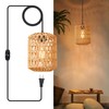 YXTH Plug in Pendant Light, Rattan Hanging Lights with Plug