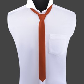 Branduce Rust Tie for Men Silk Skinny Tie for Men Premium Solid Slim Fashion Necktie (TA07-31)