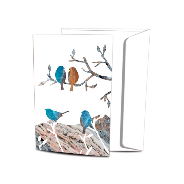 Tree-Free Greetings ECOnotes Blank Note Cards, Matching Envelopes, Blank Stationary Card Set, 4" x 6", NW Birds 2, Pack of 12 (FS56004)