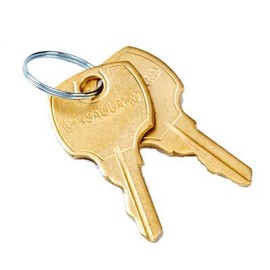 Honeywell Replacement Keys (Set of 2) for TG509, TG510, TG511 and TG512- Color - 191990A/U 191990A-c1