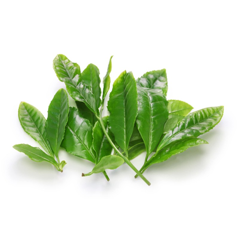 Sencha Green Dynasty Tea 75g (75g)