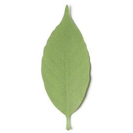 +d サーモメーター リーフ S 8枚入 d-710-S 【温度で色が変わる】