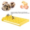 Egg Incubator Egg Tray Small 24 Eggs Four Leaf Flower