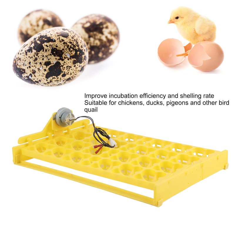 Egg Incubator Egg Tray Small 24 Eggs Four Leaf Flower