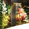 COXSENI Solar Pathway Lights Outdoor 4Pack, 2 Color in 1