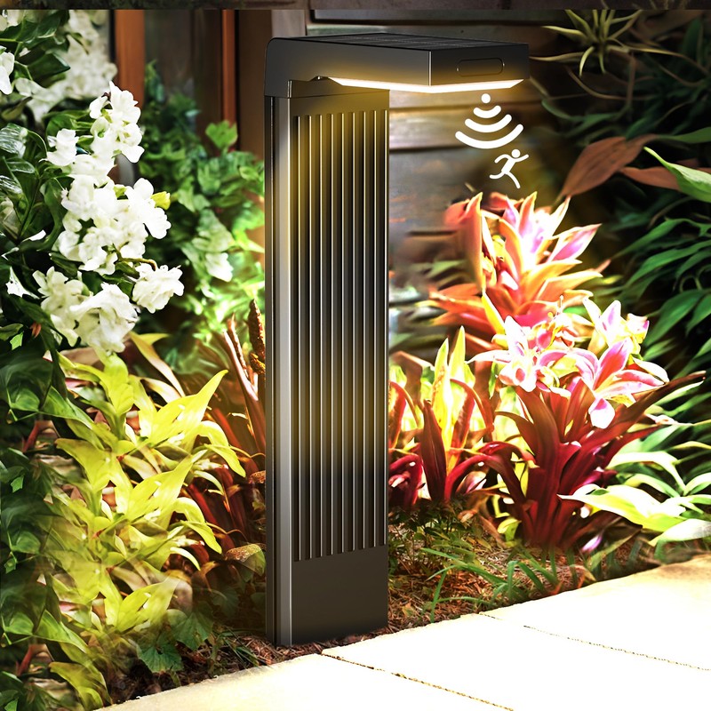COXSENI Solar Pathway Lights Outdoor 4Pack, 2 Color in 1