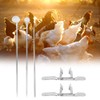 10pcs Stainless Steel Farm Livestock Breeding Chicken Hen Rooster Capon
