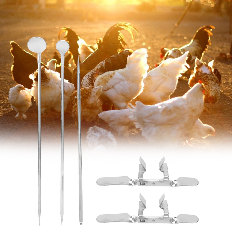 10pcs Stainless Steel Farm Livestock Breeding Chicken Hen Rooster Capon