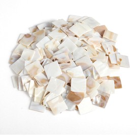 BIMUYI 350Pcs Mother of Pearl Mosaic Tiles, Shell Mosaic Pieces, Square Decorative Mosaic Supplies