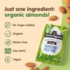 Once Again Organic Almond Butter Packets, Roasted - Individual Nut