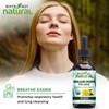 Why Not Natural Organic Mullein Drops for Lungs, USDA Organic,