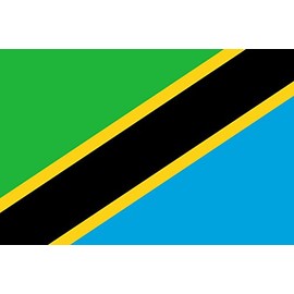 Tanzania 2'x3' Polyester Flag