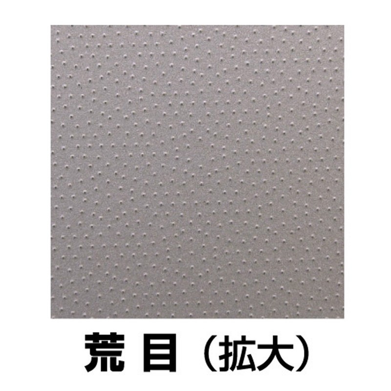 NT Dresser Ever Grit Sander Replacement Plate Coarse Grit (M-421P)