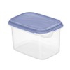 Rotho 0.75 Litre Rectangular Container, Blue Lid, Clear, 0.75 Litre