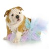 Tulle Fabric Rainbow Glitter Tulle Table Runner 15 cm x