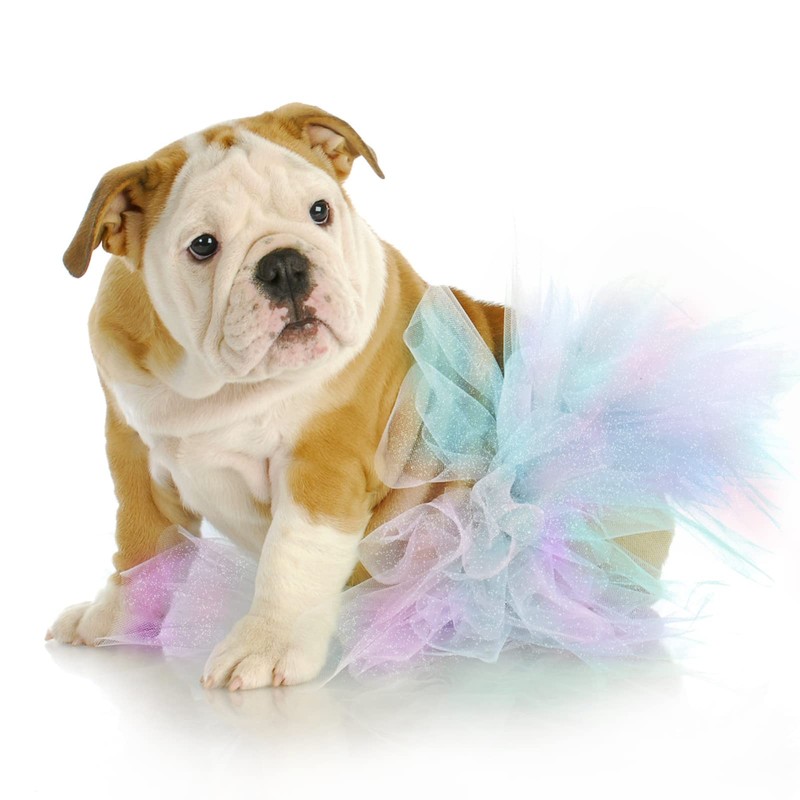 Tulle Fabric Rainbow Glitter Tulle Table Runner 15 cm x