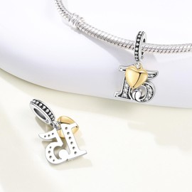 PANPOKI Number Charm for Bracelet & Necklace, Sterling Silver 925 with Cubic Zirconia & 18K Gold Plated Heart, Anniversary Birthday Age Gift (10 13 15 16 18 20 21 25 30 40 50 60) (Number 15)