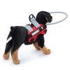 Halos Harness for Blind Dog, Lightweight Blind Halos for Pets,