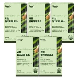[Danbi] Furnit Real Matcha Latte Enzyme 30 packets x 5 packs / [단비] 퍼니트 리얼 말차라떼 효소 30포 x 5개