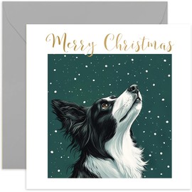 Border Collie Dog Christmas Card for Men and Women - Xmas Gifs for Pet Owner from Dog - Beautiful Festive Artwork - Keepsake Present for Husband Wife Mum Dad - Blank Inside with Envelope