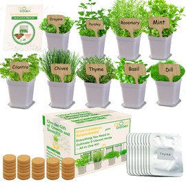Indoor Herb Garden Kit, 9 Non-GMO Seeds with Reusable Pots, Planter – DIY Grow Kits for Growing Herbs Indoors, Kitchen, Balcony, Window Sill with 27 Soil