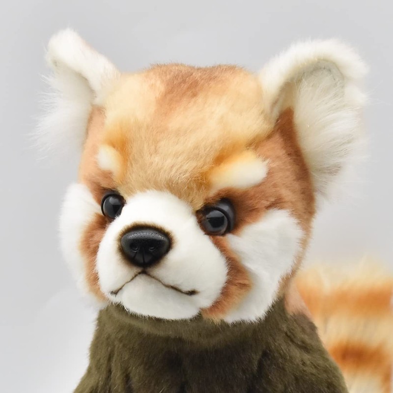 BH7252 HANSA Red Panda 37