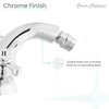 Swiss Madison Well Made Forever SM-DF82C Bidet Faucet, Chrome