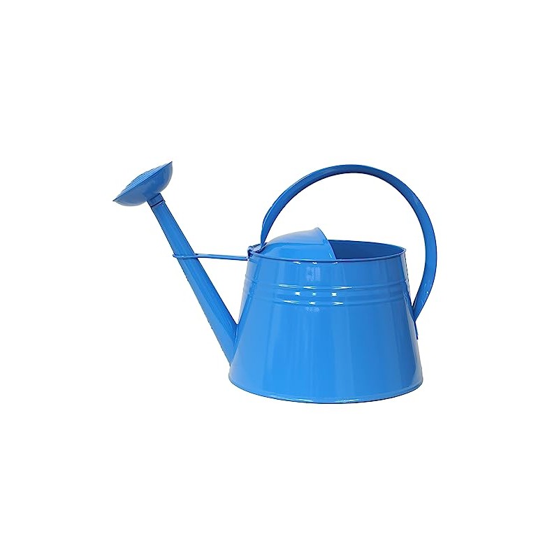 Houston International 8592E B 2.5-Gallon Steel Watering Can, Blue