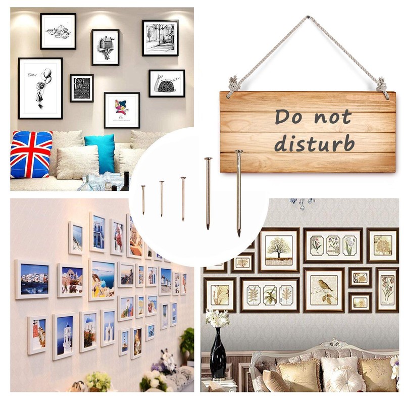 OMOTOOL Gold Nails Assortment Kit (300pcs), Brass Plated Nails for