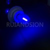 Ruiandsion E12 LED Bulb 110V Blue Screw Base for Display