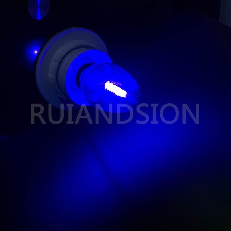 Ruiandsion E12 LED Bulb 110V Blue Screw Base for Display