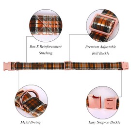 Lionet Paws Dog Collar with Bow Tie, Durable Comfortable Cotton Collar with Metal Buckle for Dogs, Neck 34-55 cm