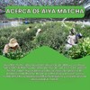 Aiya Matcha Ceremonial Orgánica (30 g)