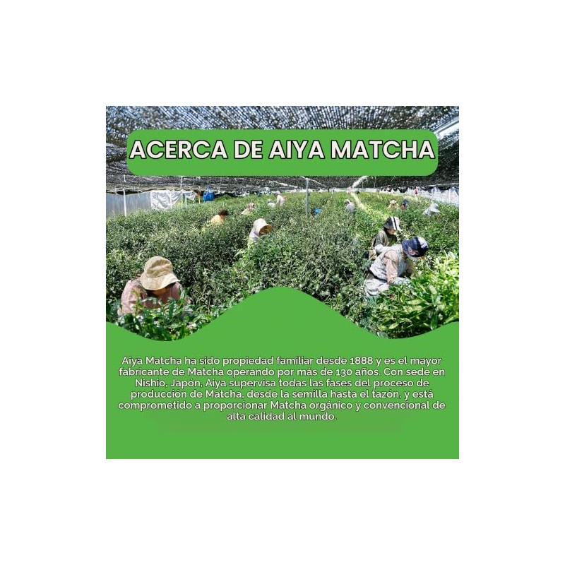 Aiya Matcha Ceremonial Orgánica (30 g)