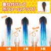 Classe Wig, Specialty Shop Production, Elastic, Easy Braid Extension, For