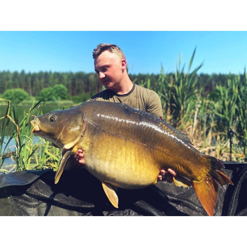 Tandem Baits SuperFeed Fluo Mini Dumbbells Floating Coconut & Vanilla
