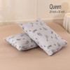 ECOCOTT 2 Pack Pillowcase Queen Size, Dinosaurs Space Pattern Pillow