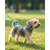 Joytale Small Dog Collar, Durable Double-Sided Reflective Nylon Collar for