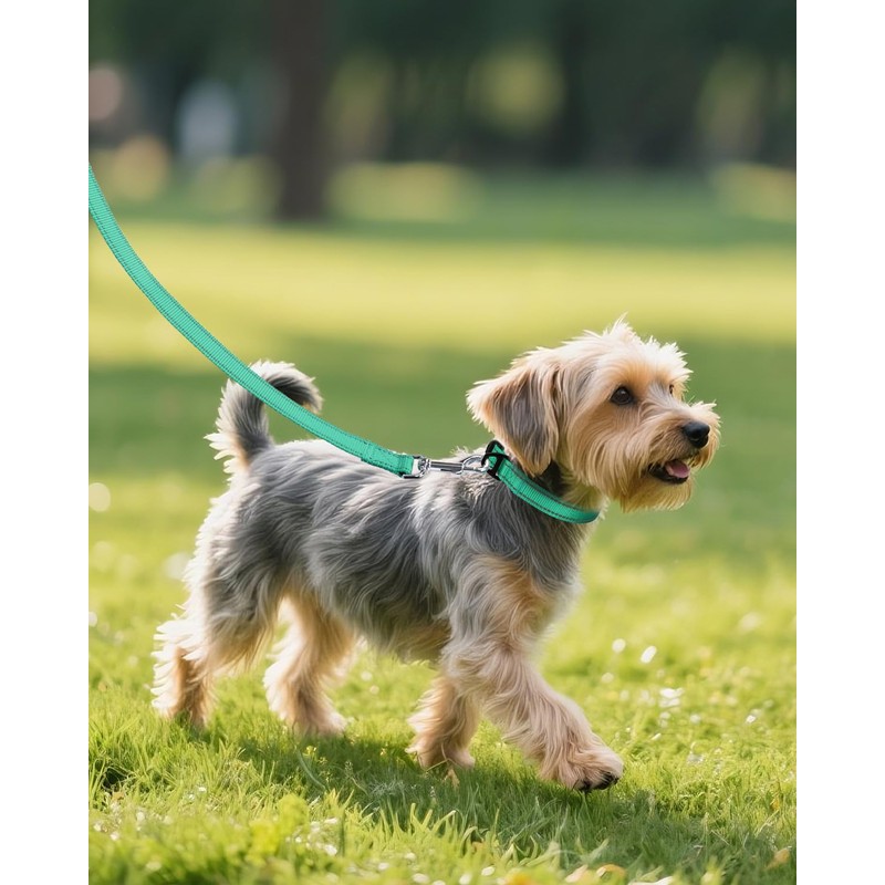 Joytale Small Dog Collar, Durable Double-Sided Reflective Nylon Collar for