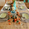 Noctiflorous Oval Braided Placemats 12x18 Inch Table Mats Set of