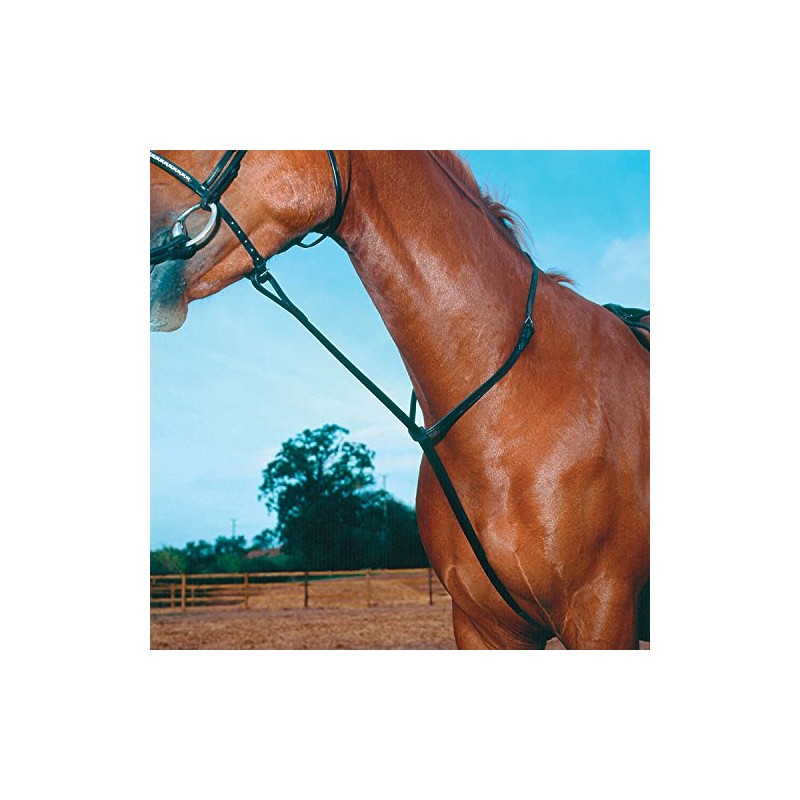 Shires Equestrian - Blenheim Standing Martingale - Black - Size: