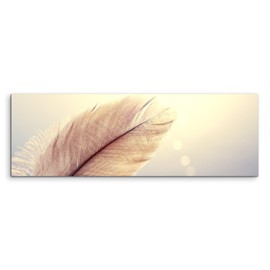 Paul Sinus Art Panorama Picture 150 x 50 cm Nature Photography - Feather on Ombre Blue Background on Canvas Exclusive Wall Picture Modern Photography for Your Wall in Many Sizes