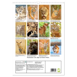Cats of prey: The hunters on silent paws, US-Version (Wall Calendar 2026 DIN A3 Portrait), CALVENDO 12 Month Wall Calendar