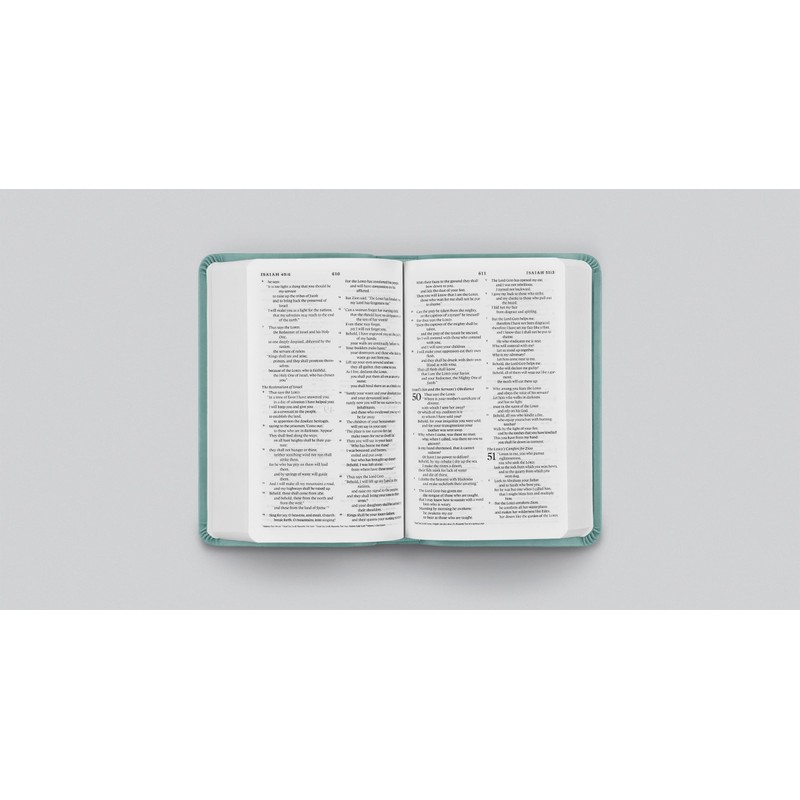 ESV Value Compact Bible (TruTone, Paris Sky, Branch Design)